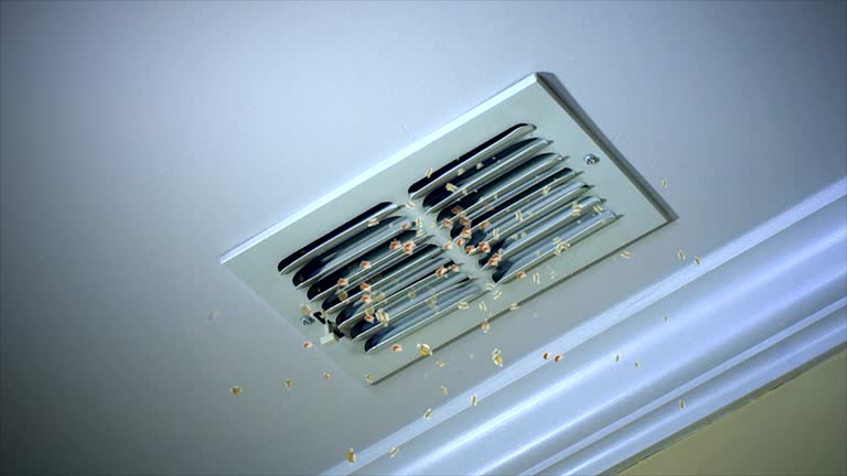 Best Local Air Duct Cleaning Services  in East Douglas, MA