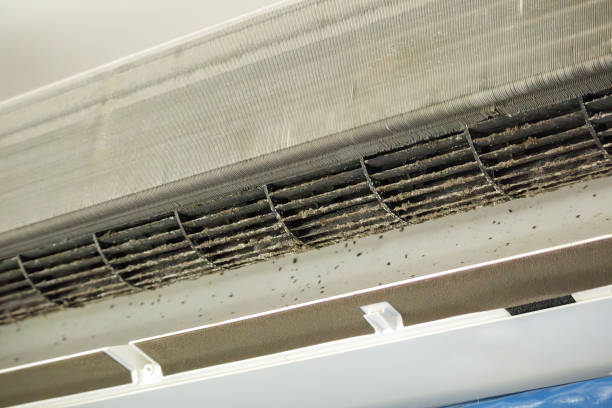 Affordable HVAC Duct Cleaning in East Douglas, MA